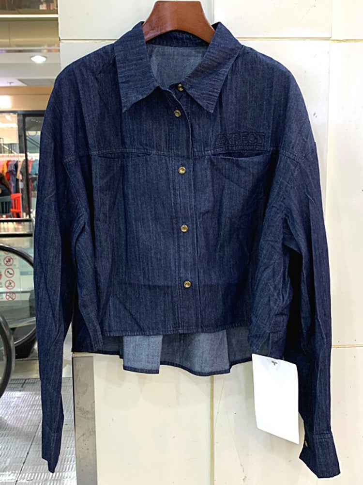 Minimalist style women's casual loose solid color long sleeved short shirt